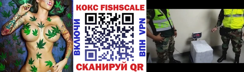 где можно купить   Горно-Алтайск  КОКАИН FishScale 