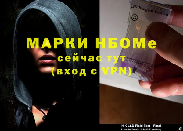 PSILOCYBIN Бородино
