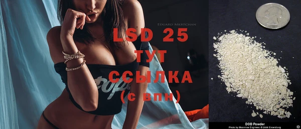 PSILOCYBIN Бородино