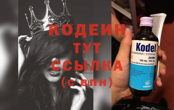 молекула духа Бронницы