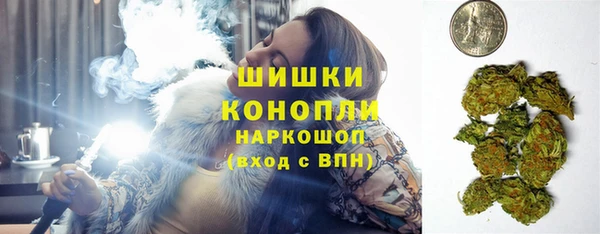 PSILOCYBIN Бородино